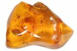 Fossil Spider Web and Isopod In Baltic Amber - Rare! #93825-1